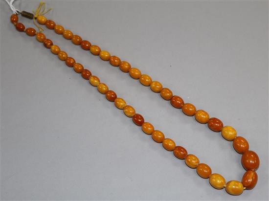 A single strand amber bead necklace, gross 25 grams.